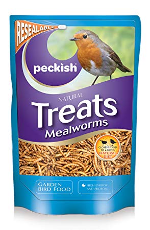 download mealworms for birds