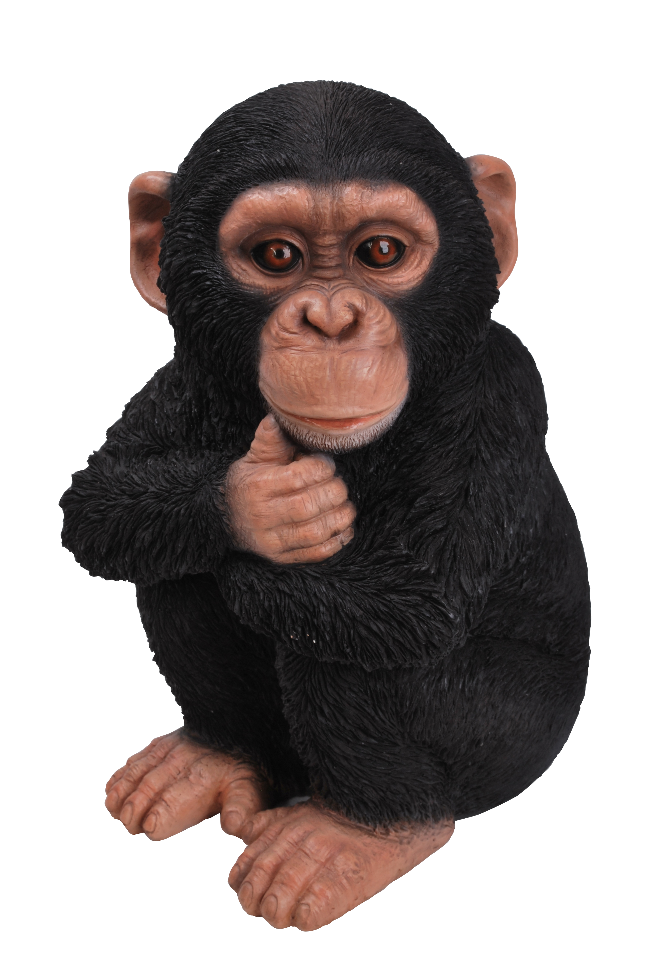 RL Baby Chimpanzee F | Zoo Animals | Vivid Arts | Windy Ridge