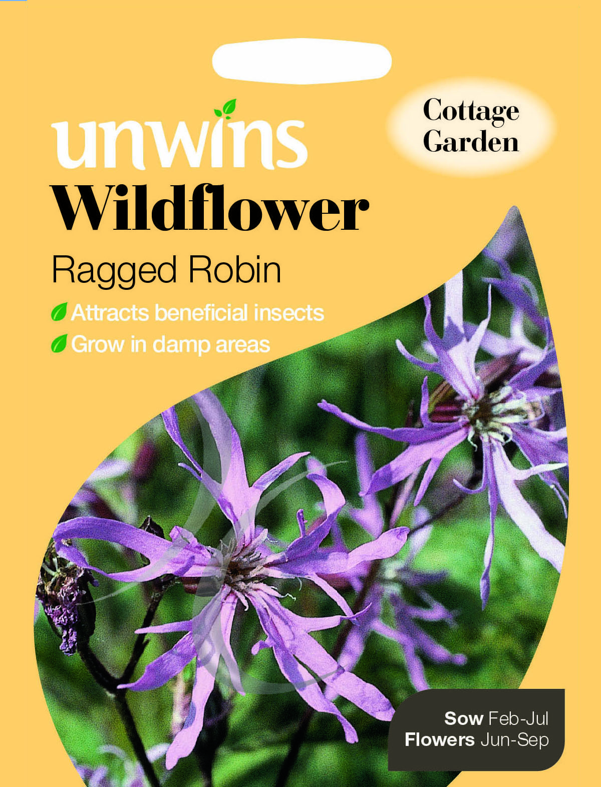 Wildflower Ragged Robin